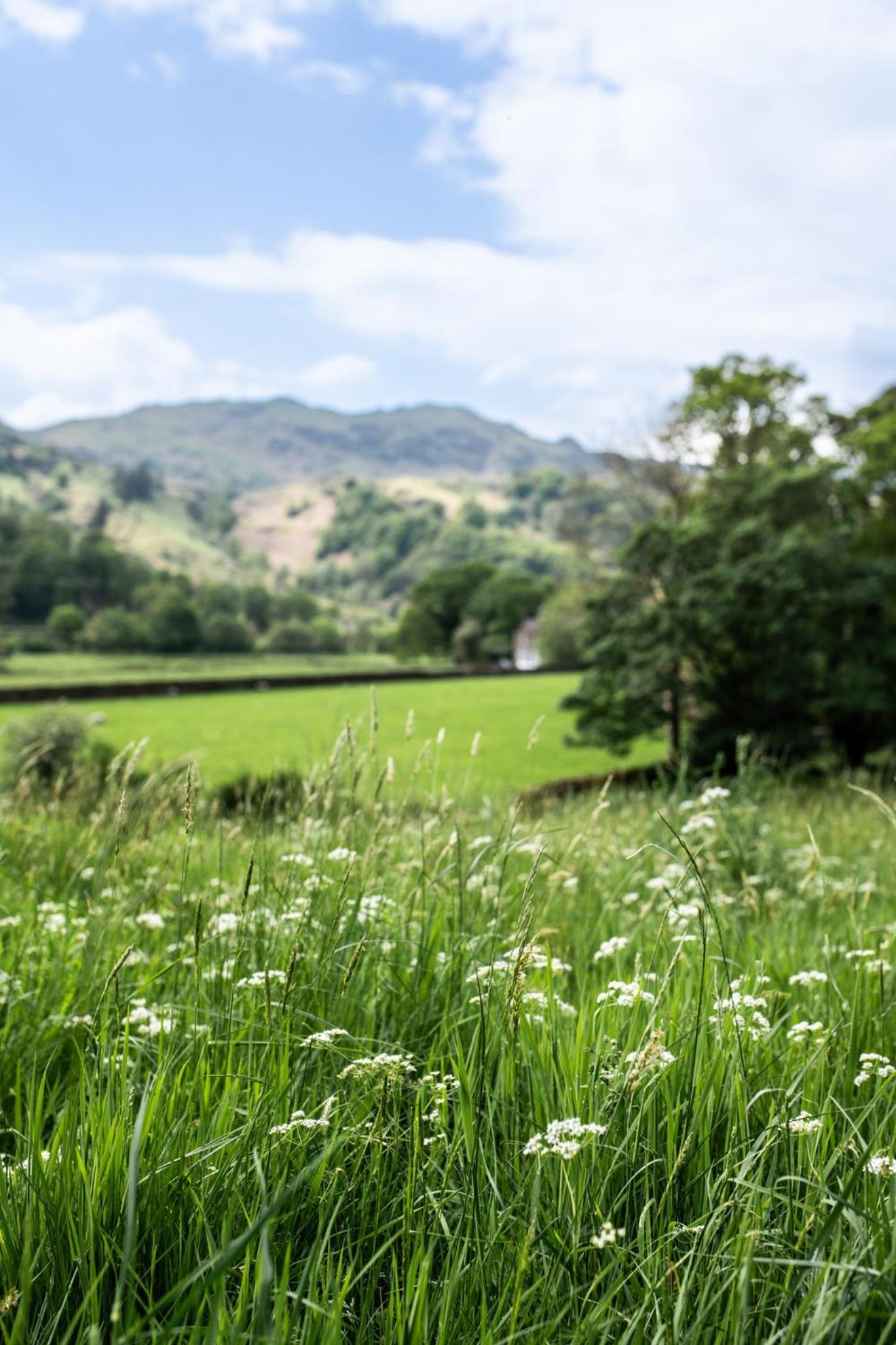 Lancrigg Grasmere Exterior foto